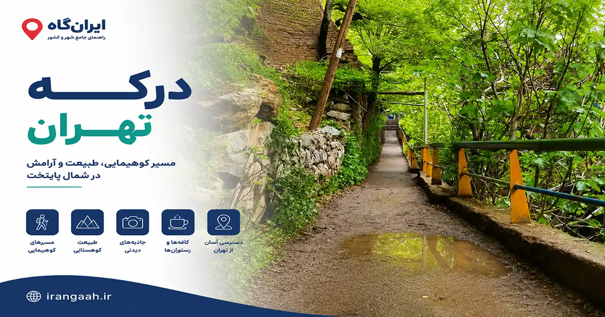 جاده ای طولانی و سرسبز در درکه که شاخه های سبز درختان آن را آراییده اند