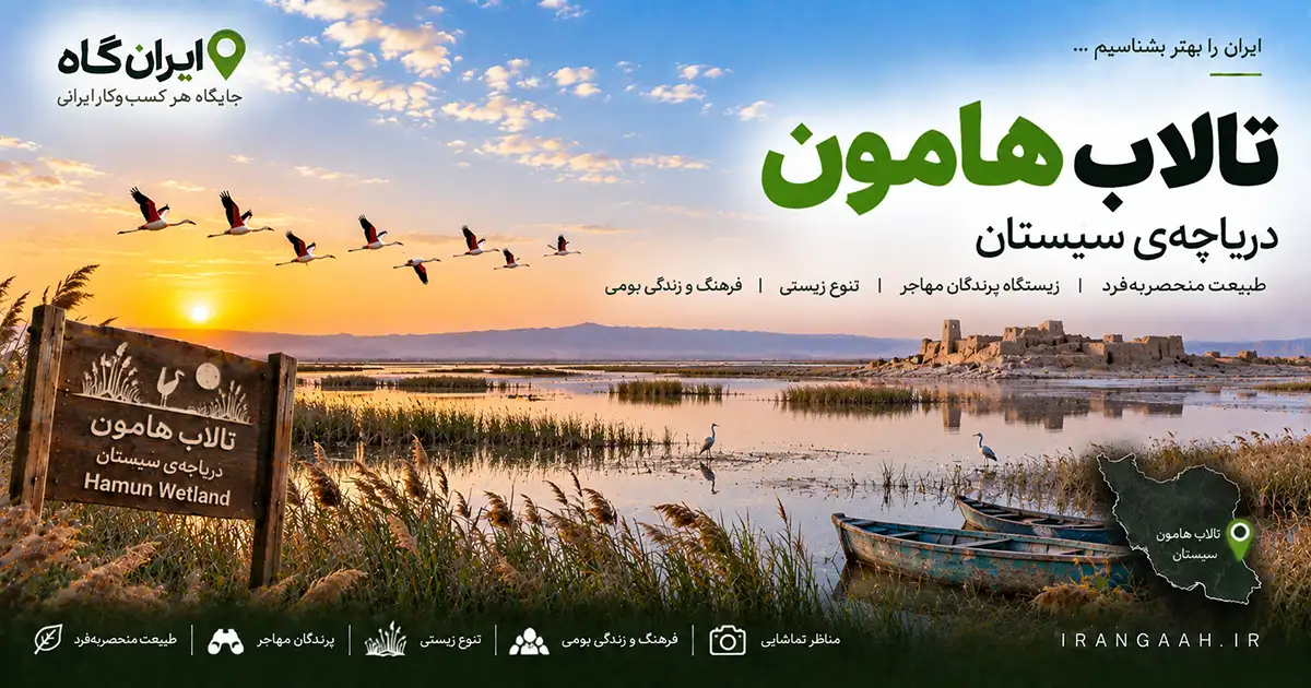 ساحل تالاب هامون که دو قایق کوچک قدیمی در آن به چشم می‌خورد و پرندگان در حال پرواز در غروب آفتاب
