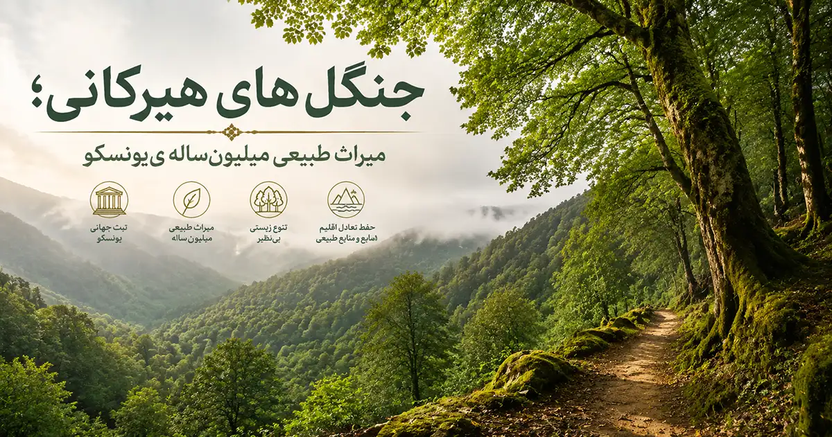 یک جنگل که انتهای آن را مه گرفته و یک مسیر طبیعی باریک در سمت راست آن مشخص است و کوه‌ها در انتهای آن