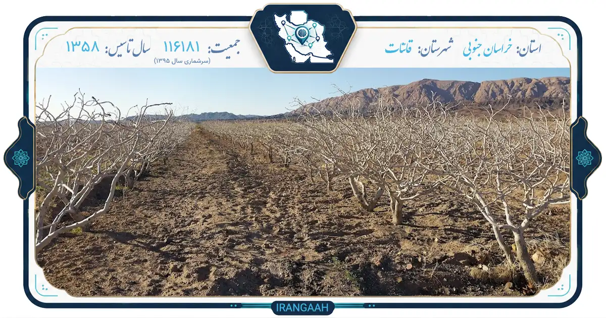 قائنات؛ نگین کویر خراسان، پایتخت دوم زعفران جهان | ایران‌گاه