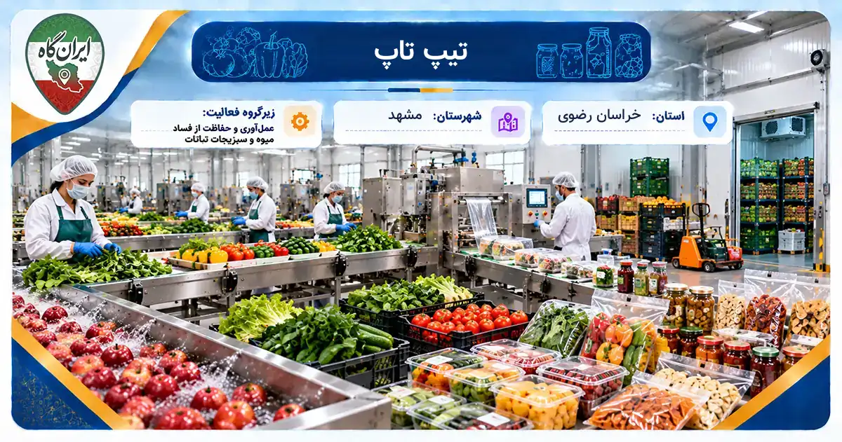 تولیدی تیپ تاپ مشهد