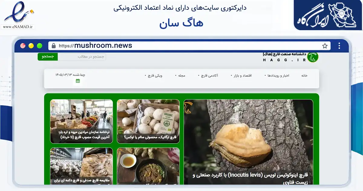 صفحه اصلی سایت هاگ سان به نشانی mushroom.news که در زمینه نهادها، تشکل‌ها و سازمان‌ها با مرکزیت تهران فعالیت دارد.