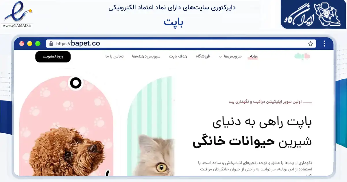 صفحه اصلی سایت باپت به نشانی bapet.co که در زمینه فناوری اطلاعات، ارتباطات و دیجیتال با مرکزیت تهران فعالیت دارد.