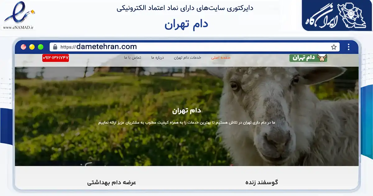 صفحه اصلی سایت دام تهران به نشانی dametehran.com که در زمینه فناوری اطلاعات، ارتباطات و دیجیتال با مرکزیت تهران فعالیت دارد.