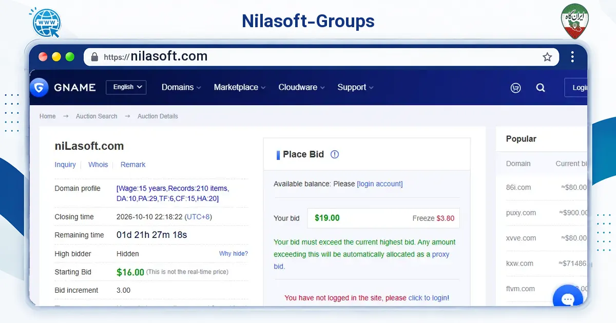 صفحه‌ی اصلی سایت Nilasoft-Groups به نشانی nilasoft.com