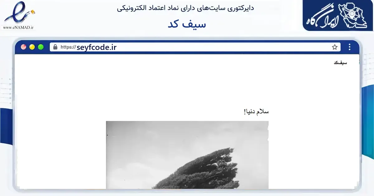 صفحه اصلی سایت سیف کد به نشانی seyfcode.ir که در زمینه فناوری اطلاعات، ارتباطات و دیجیتال با مرکزیت تهران فعالیت دارد.