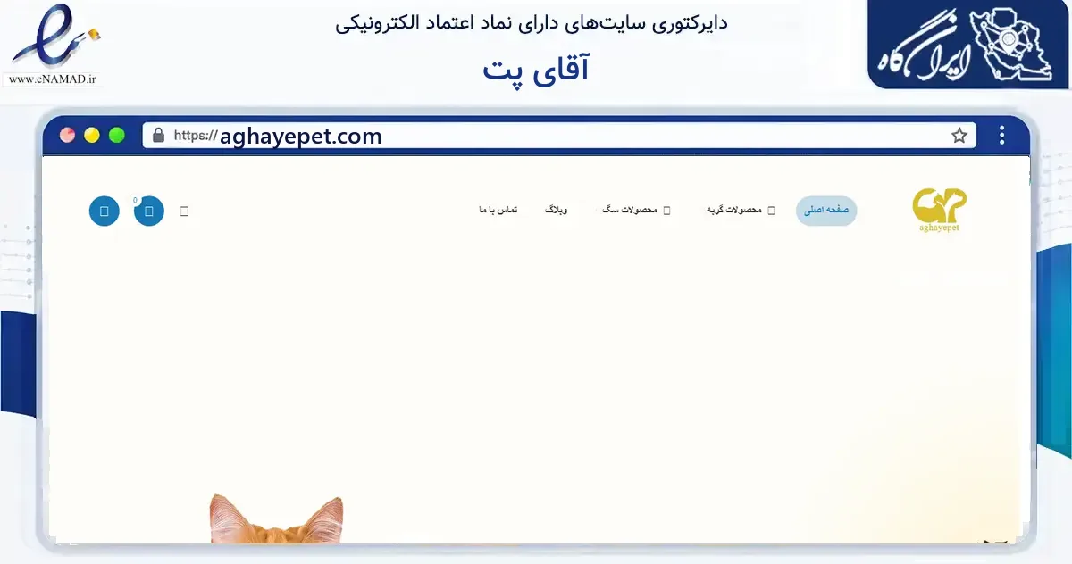 صفحه اصلی سایت آقای پت به نشانی aghayepet.com که در زمینه گردشگری، ورزش و سرگرمی با مرکزیت مشهد فعالیت دارد.