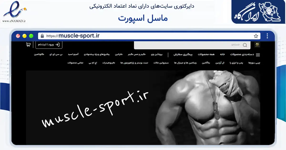 صفحه اصلی سایت ماسل اسپورت به نشانی muscle-sport.ir که در زمینه گردشگری، ورزش و سرگرمی با مرکزیت تهران فعالیت دارد.