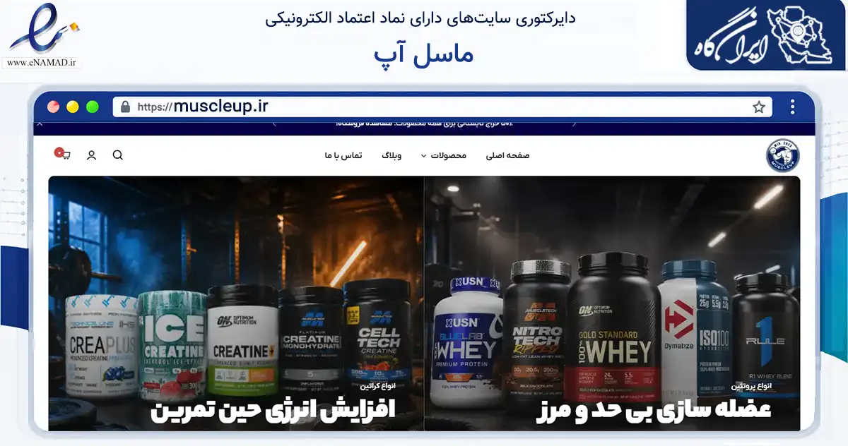 صفحه اصلی سایت ماسل آپ به نشانی muscleup.ir که در زمینه گردشگری، ورزش و سرگرمی با مرکزیت تهران فعالیت دارد.
