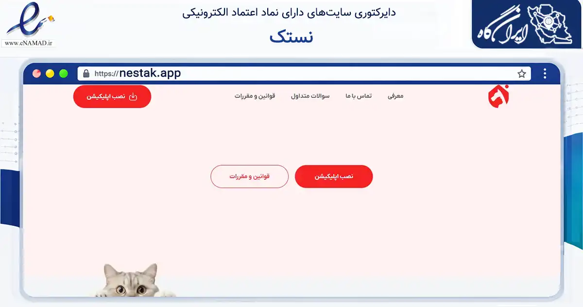 صفحه اصلی سایت نستک به نشانی nestak.app که در زمینه سلامت، درمان و پزشکی با مرکزیت تهران فعالیت دارد.