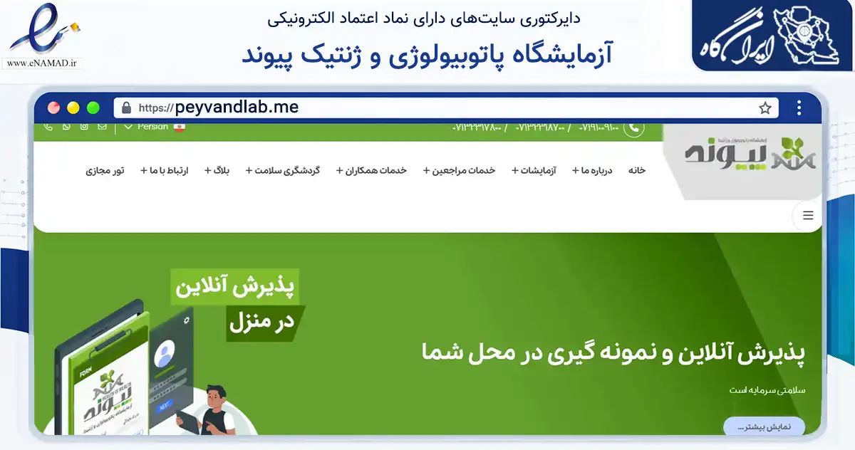 صفحه اصلی سایت آزمایشگاه پاتوبیولوژی و ژنتیک پیوند به نشانی peyvandlab.me که در زمینه سلامت، درمان و پزشکی با مرکزیت شیراز فعالیت دارد.