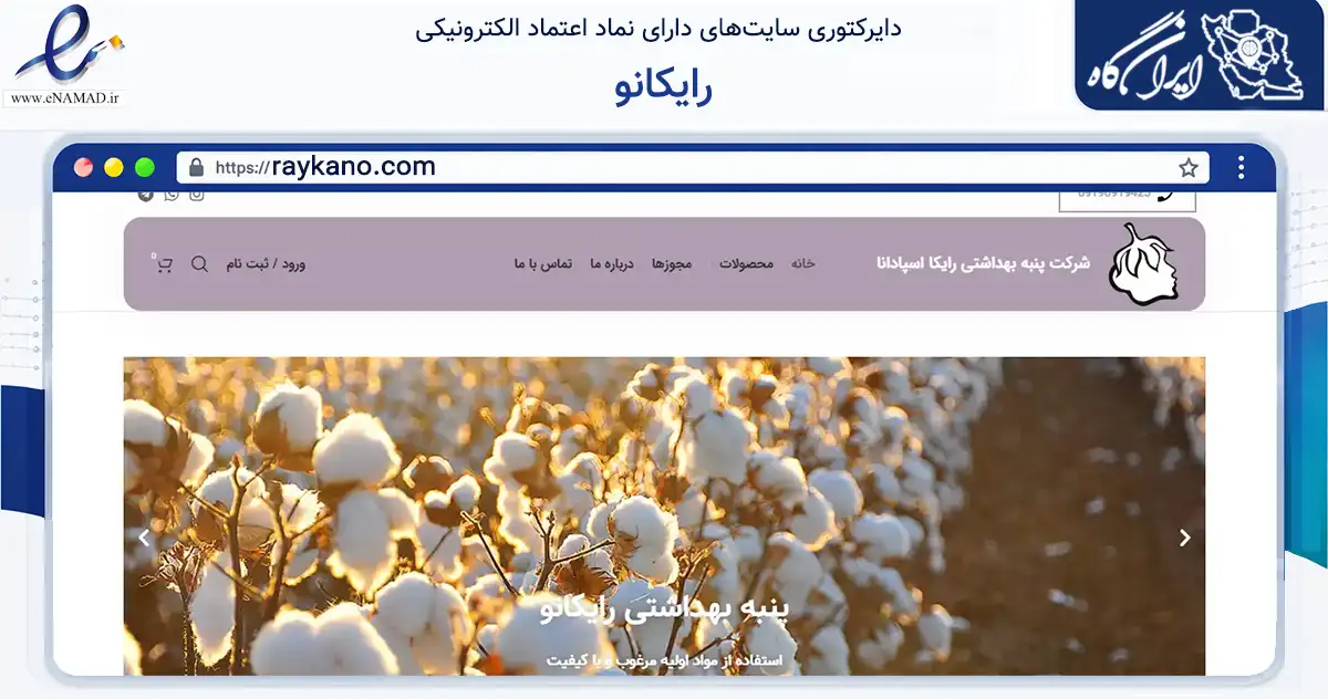 صفحه اصلی سایت رایکانو به نشانی raykano.com که در زمینه سلامت، درمان و پزشکی با مرکزیت شهرضا فعالیت دارد.