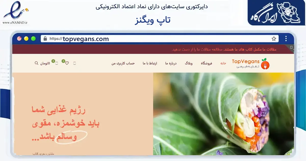 صفحه اصلی سایت تاپ ویگنز به نشانی topvegans.com که در زمینه آموزش، فرهنگ و پژوهش با مرکزیت تهران فعالیت دارد.