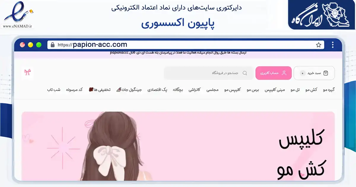 صفحه اصلی سایت پاپیون اکسسوری به نشانی papion-acc.com که در زمینه سایر خدمات و فعالیت‌ها با مرکزیت نطنز فعالیت دارد.