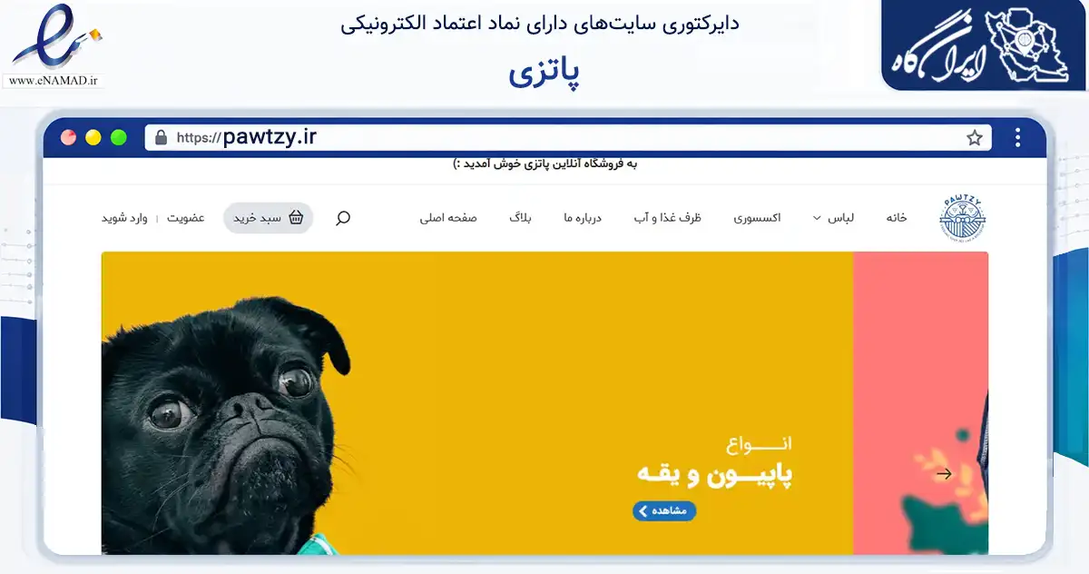 صفحه اصلی سایت پاتزی به نشانی pawtzy.ir که در زمینه سایر خدمات و فعالیت‌ها با مرکزیت تهران فعالیت دارد.