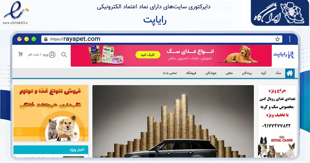 صفحه اصلی سایت رایاپت به نشانی rayapet.com که در زمینه سایر خدمات و فعالیت‌ها با مرکزیت تهران فعالیت دارد.