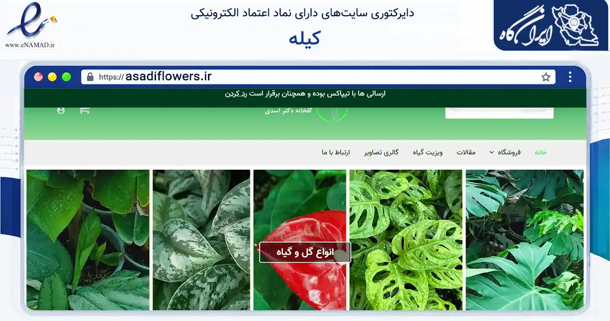 صفحه اصلی سایت کیله به نشانی asadiflowers.ir که در زمینه تجارت، بازرگانی و تبلیغات با مرکزیت قائم‌شهر فعالیت دارد.