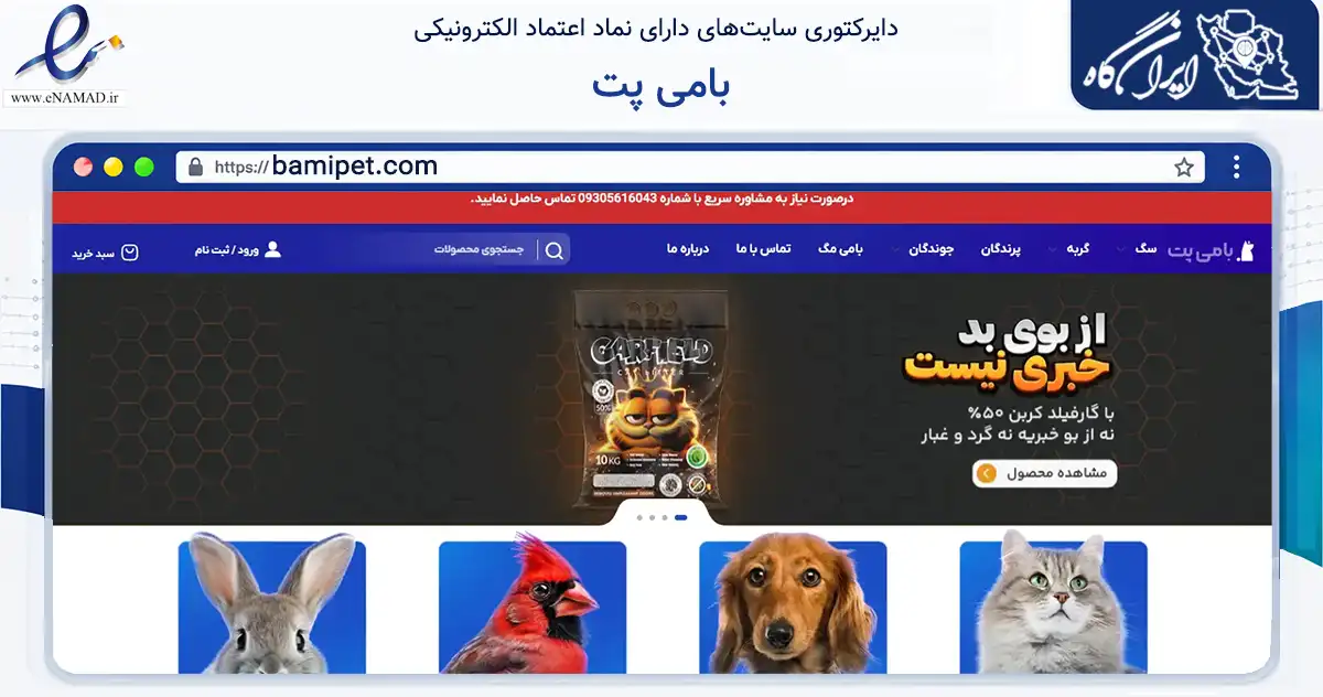صفحه اصلی سایت بامی پت به نشانی bamipet.com که در زمینه تجارت، بازرگانی و تبلیغات با مرکزیت تهران فعالیت دارد.