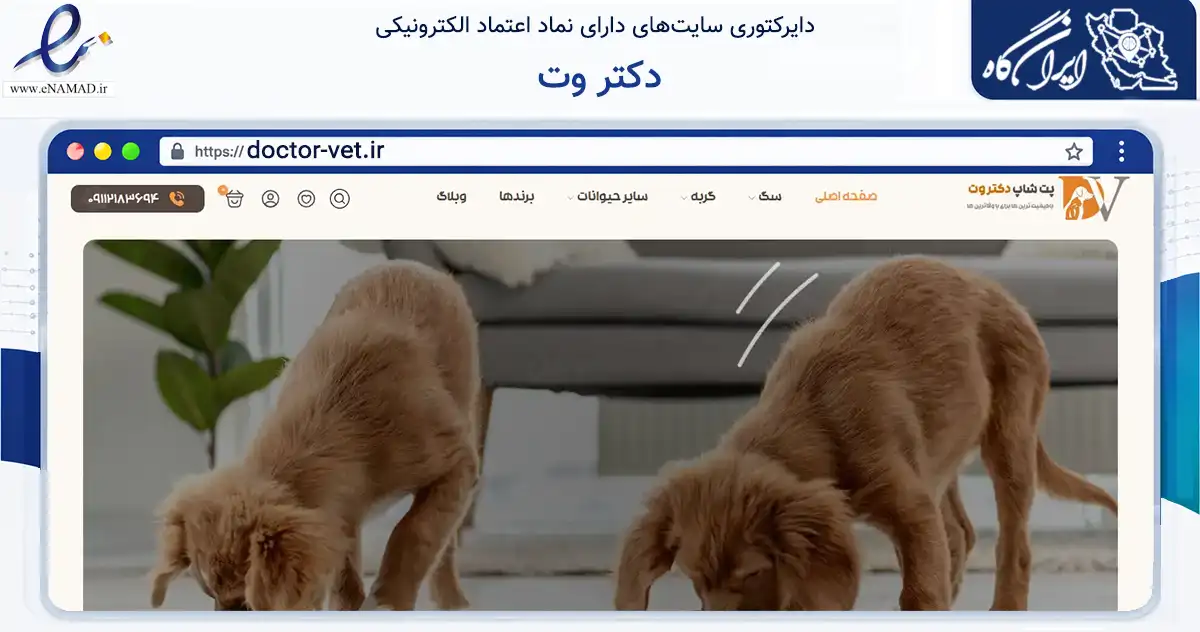 صفحه اصلی سایت دکتر وت به نشانی doctor-vet.ir که در زمینه تجارت، بازرگانی و تبلیغات با مرکزیت بابلسر فعالیت دارد.