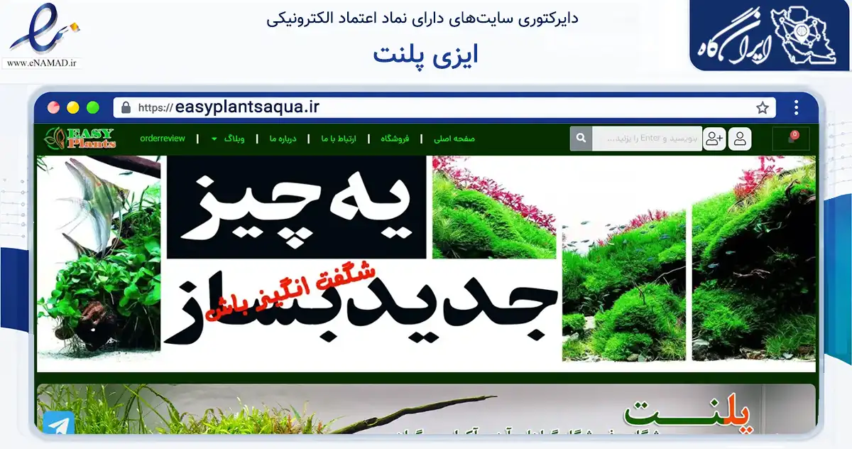 صفحه اصلی سایت ایزی پلنت به نشانی easyplantsaqua.ir که در زمینه تجارت، بازرگانی و تبلیغات با مرکزیت مشهد فعالیت دارد.