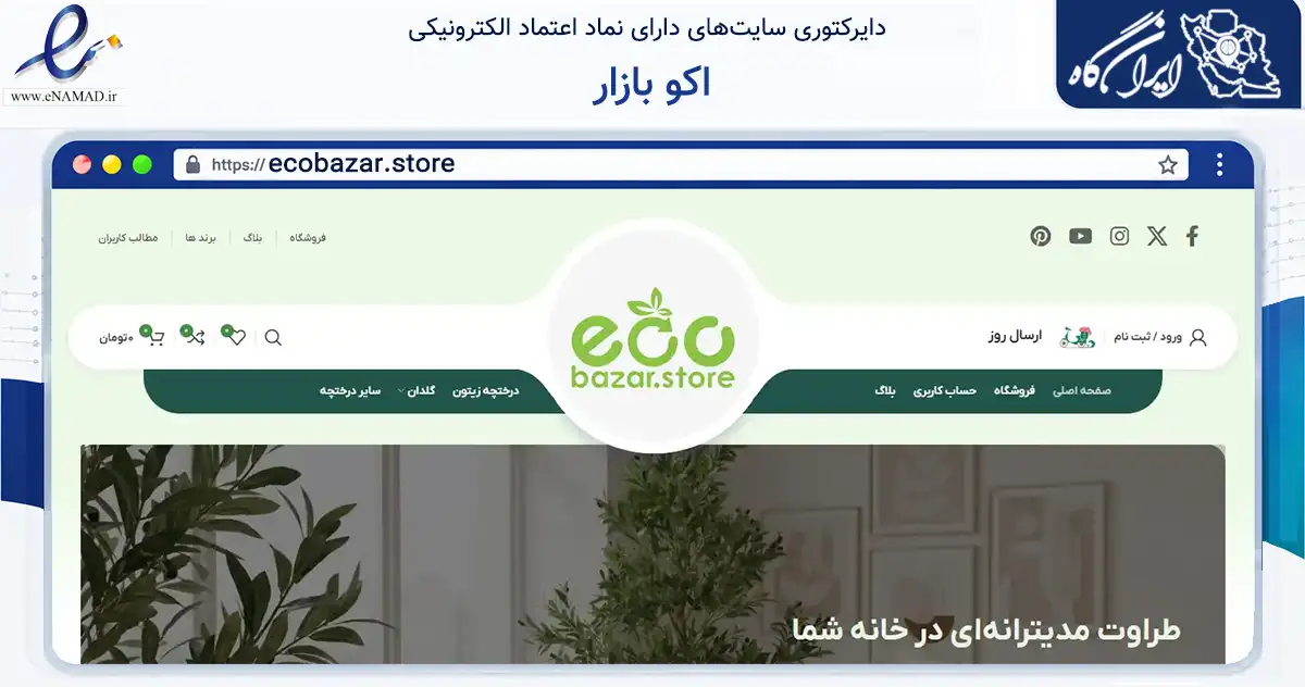 صفحه اصلی سایت اکو بازار به نشانی ecobazar.store که در زمینه تجارت، بازرگانی و تبلیغات با مرکزیت تهران فعالیت دارد.