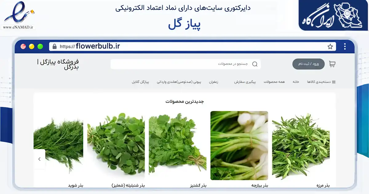 صفحه اصلی سایت پیاز گل به نشانی flowerbulb.ir که در زمینه تجارت، بازرگانی و تبلیغات با مرکزیت شیراز فعالیت دارد.