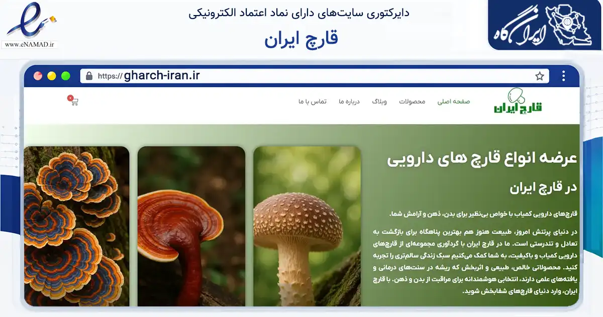 صفحه اصلی سایت قارچ ایران به نشانی gharch-iran.ir که در زمینه تجارت، بازرگانی و تبلیغات با مرکزیت کرج فعالیت دارد.