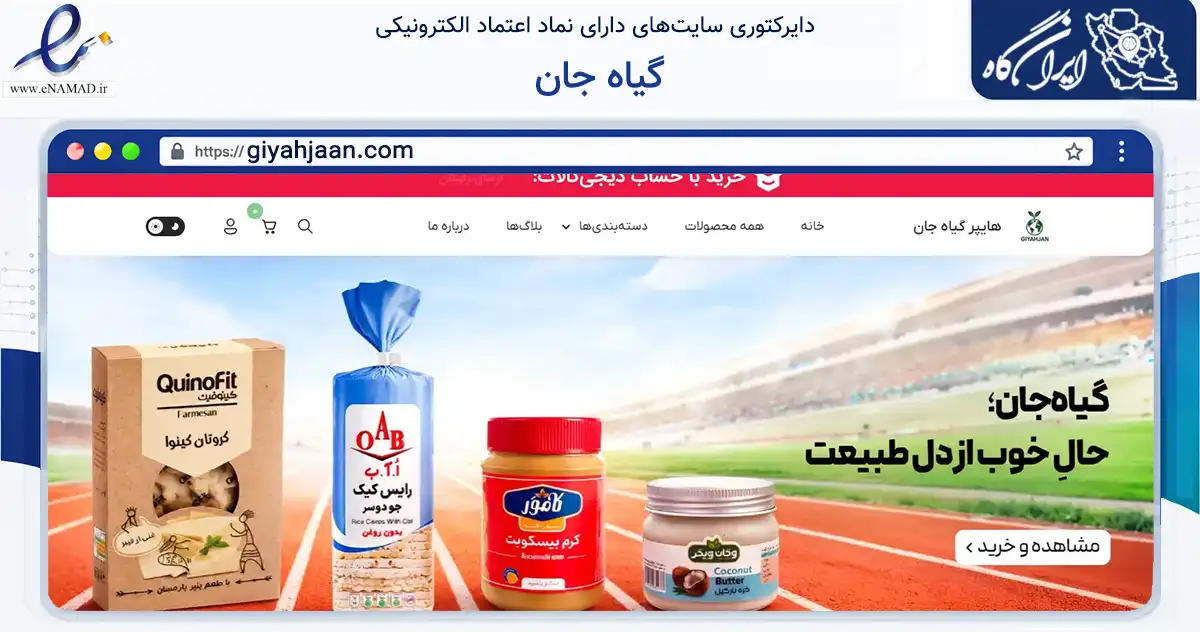 صفحه اصلی سایت گیاه جان به نشانی giyahjaan.com که در زمینه تجارت، بازرگانی و تبلیغات با مرکزیت مشهد فعالیت دارد.