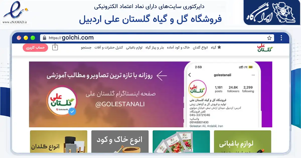 صفحه اصلی سایت فروشگاه گل و گیاه گلستان علی اردبیل به نشانی golchi.com که در زمینه تجارت، بازرگانی و تبلیغات با مرکزیت اردبیل فعالیت دارد.