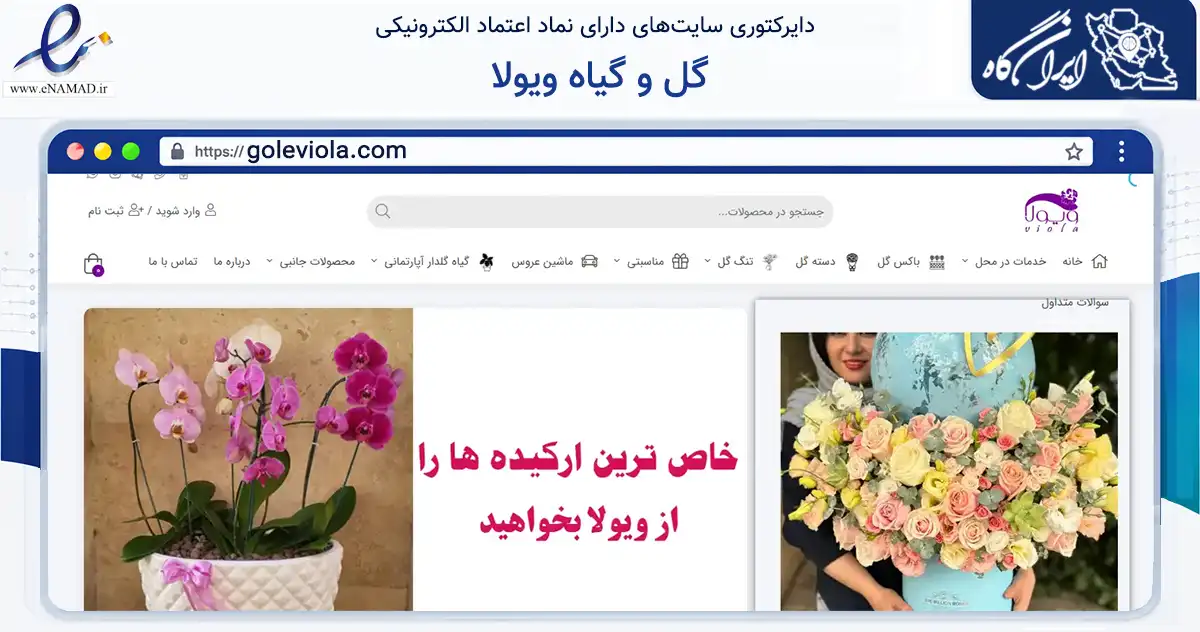 صفحه اصلی سایت گل و گیاه ویولا به نشانی goleviola.com که در زمینه تجارت، بازرگانی و تبلیغات با مرکزیت تهران فعالیت دارد.