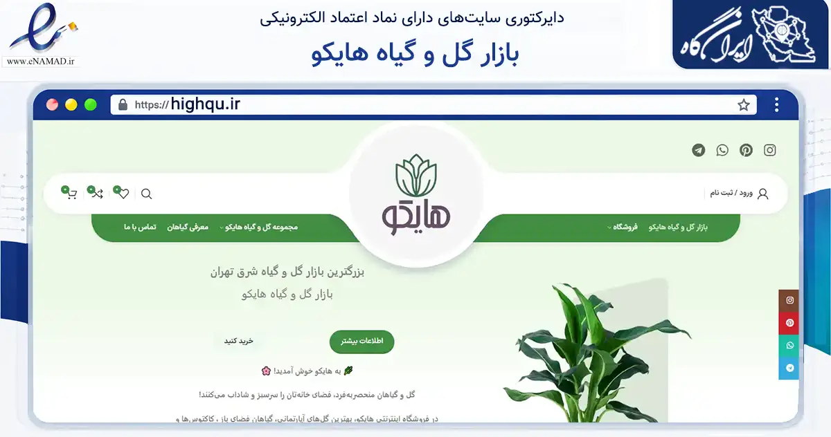 صفحه اصلی سایت بازار گل و گیاه هایکو به نشانی highqu.ir که در زمینه تجارت، بازرگانی و تبلیغات با مرکزیت دماوند فعالیت دارد.