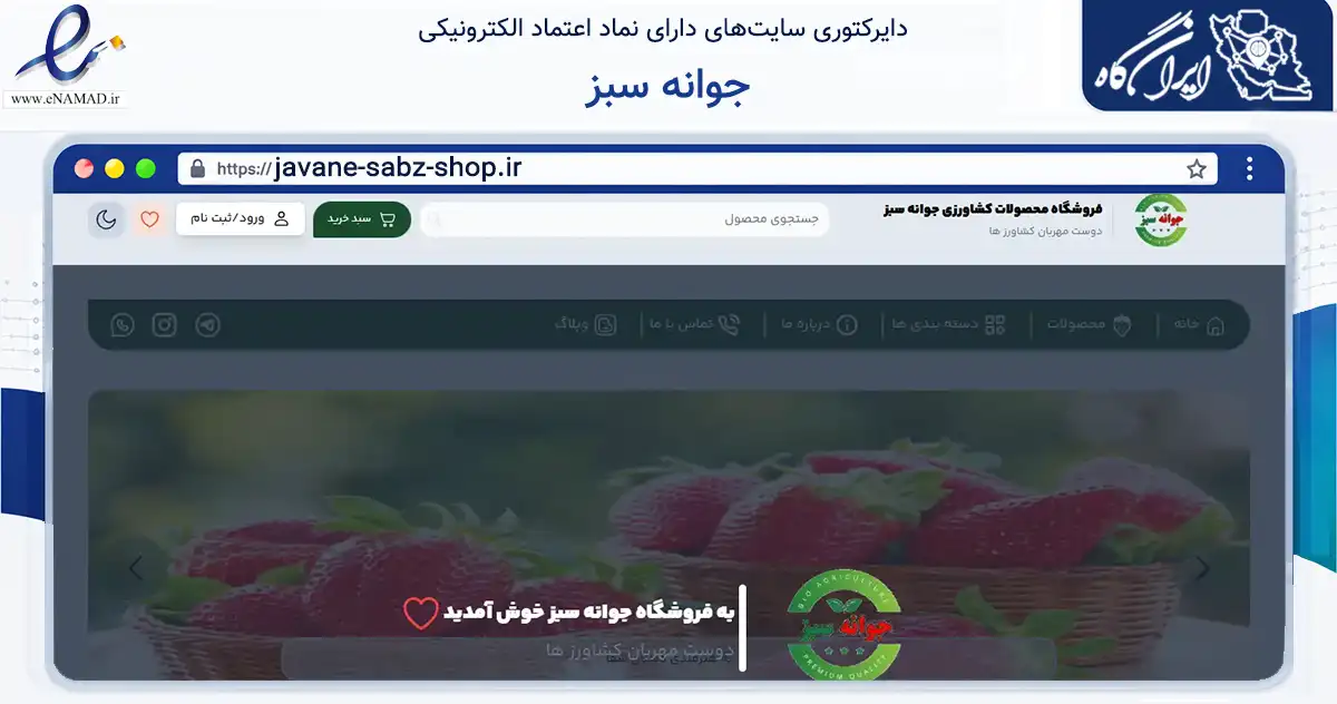 صفحه اصلی سایت جوانه سبز به نشانی javane-sabz-shop.ir که در زمینه تجارت، بازرگانی و تبلیغات با مرکزیت بابلسر فعالیت دارد.