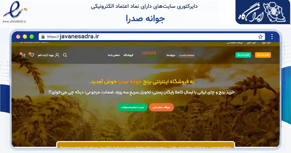 صفحه اصلی سایت جوانه صدرا به نشانی javanesadra.ir که در زمینه تجارت، بازرگانی و تبلیغات با مرکزیت فریدونکنار فعالیت دارد.