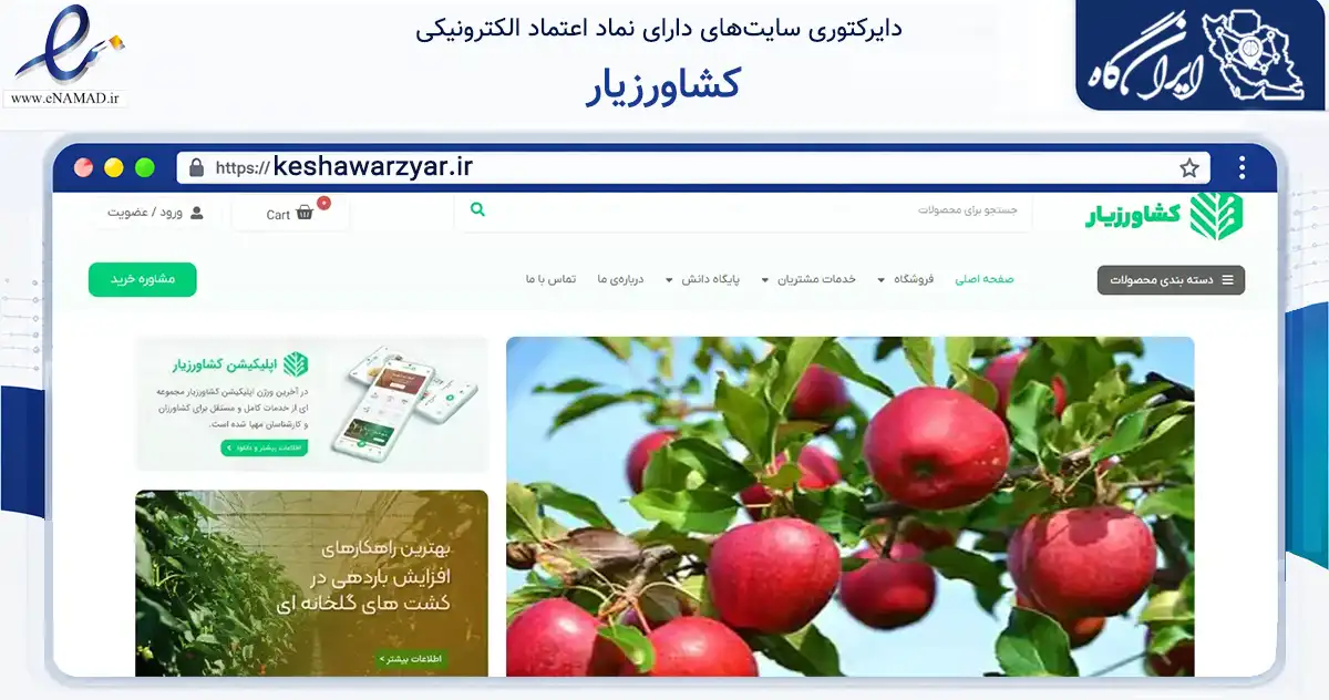 صفحه اصلی سایت کشاورزیار به نشانی keshawarzyar.ir که در زمینه تجارت، بازرگانی و تبلیغات با مرکزیت تبریز فعالیت دارد.