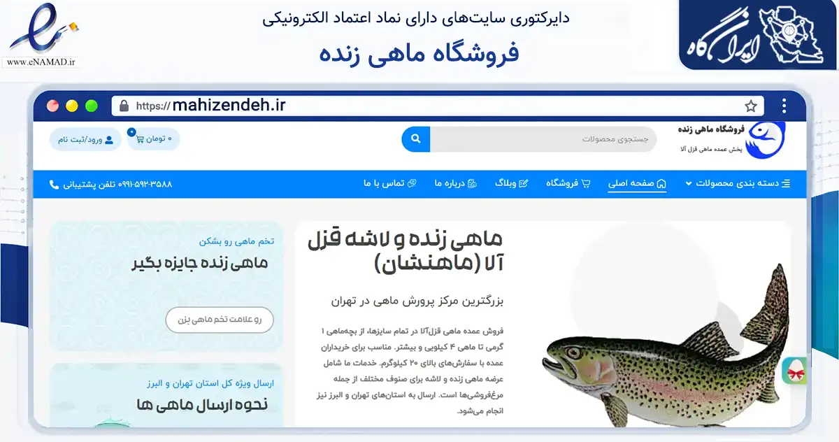 صفحه اصلی سایت فروشگاه ماهی زنده به نشانی mahizendeh.ir که در زمینه تجارت، بازرگانی و تبلیغات با مرکزیت بهارستان فعالیت دارد.