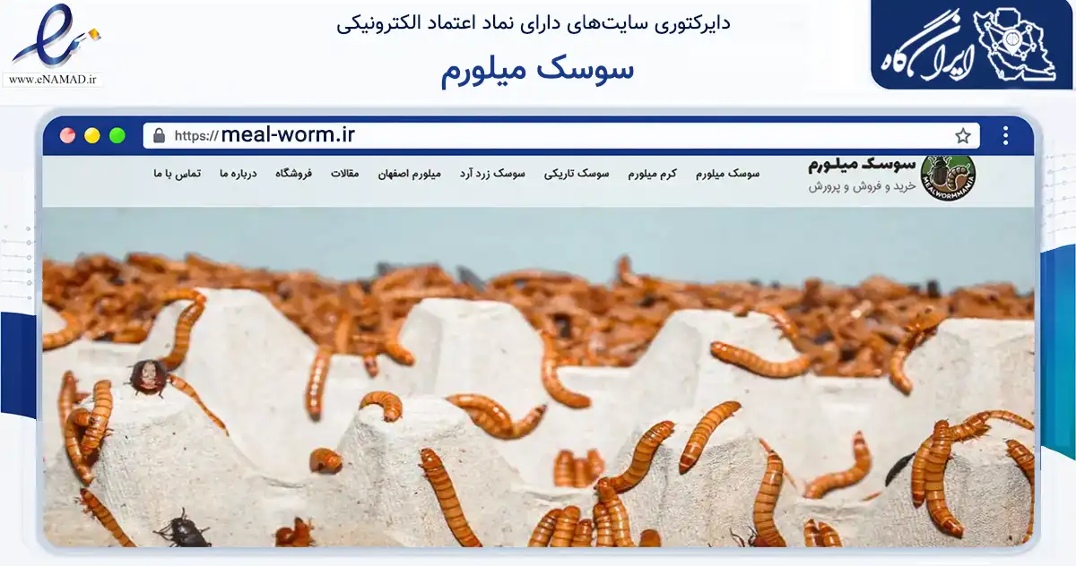 صفحه اصلی سایت سوسک میلورم به نشانی meal-worm.ir که در زمینه تجارت، بازرگانی و تبلیغات با مرکزیت اصفهان فعالیت دارد.