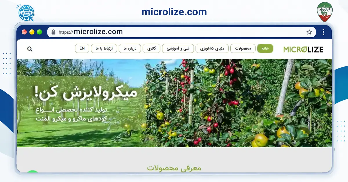 صفحه‌ی اصلی سایت microlize.com به نشانی microlize.com