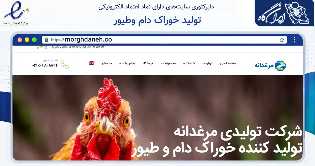 صفحه اصلی سایت تولید خوراک دام وطیور به نشانی morghdaneh.co که در زمینه تجارت، بازرگانی و تبلیغات با مرکزیت تهران فعالیت دارد.
