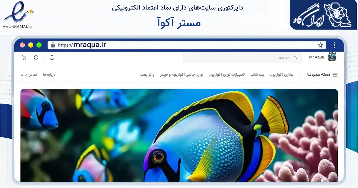 صفحه اصلی سایت مستر آکوآ به نشانی mraqua.ir که در زمینه تجارت، بازرگانی و تبلیغات با مرکزیت تهران فعالیت دارد.