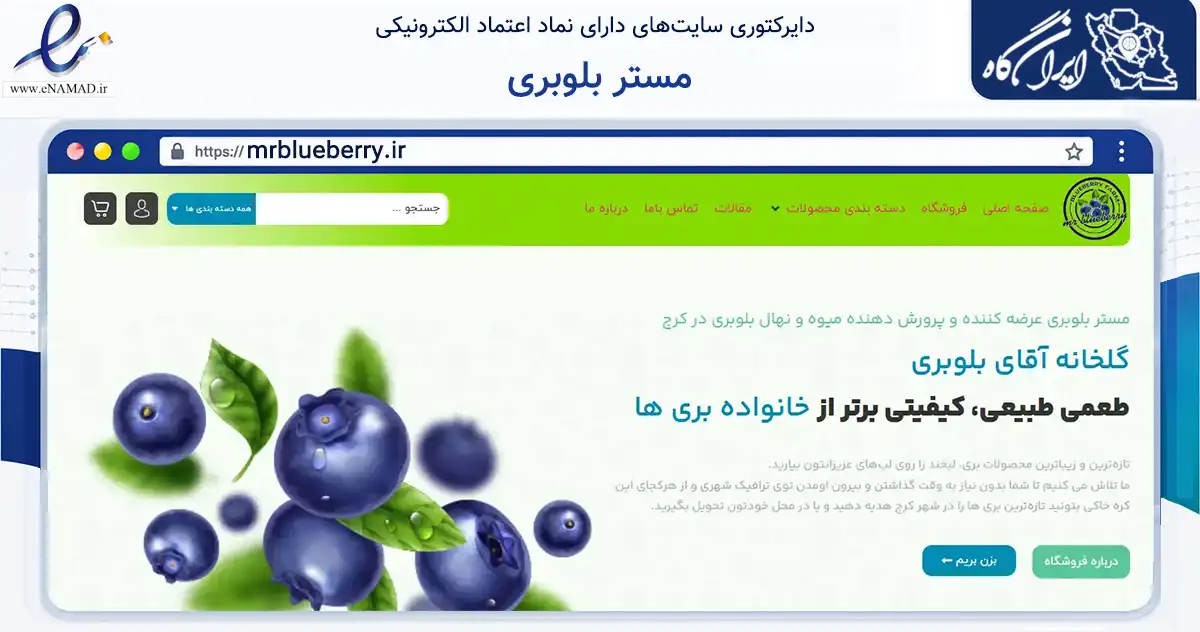 صفحه اصلی سایت مستر بلوبری به نشانی mrblueberry.ir که در زمینه تجارت، بازرگانی و تبلیغات با مرکزیت کرج فعالیت دارد.