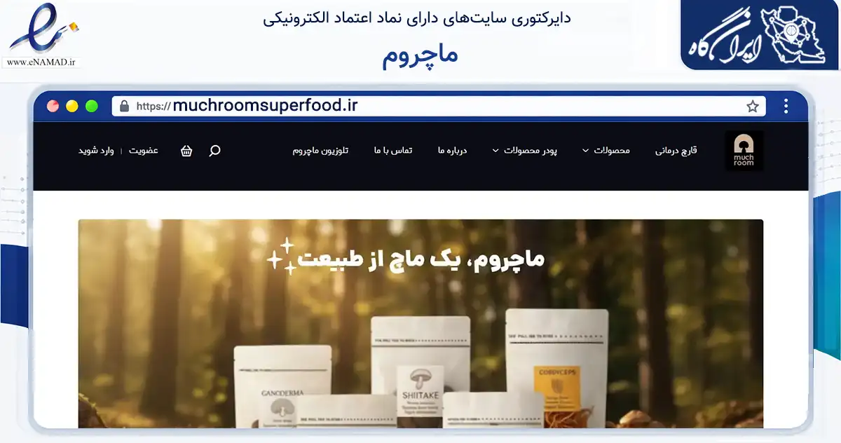صفحه اصلی سایت ماچروم به نشانی muchroomsuperfood.ir که در زمینه تجارت، بازرگانی و تبلیغات با مرکزیت تهران فعالیت دارد.