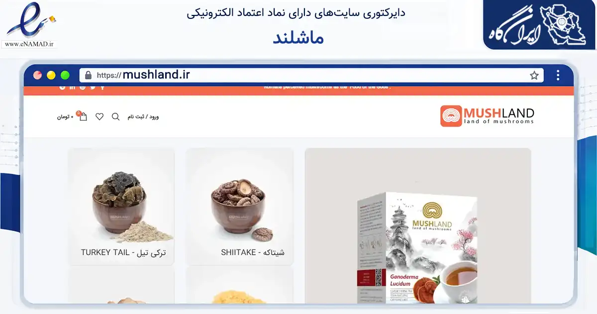 صفحه اصلی سایت ماشلند به نشانی mushland.ir که در زمینه تجارت، بازرگانی و تبلیغات با مرکزیت تهران فعالیت دارد.