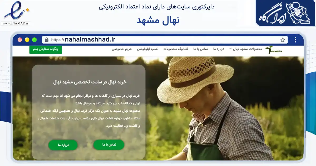 صفحه اصلی سایت نهال مشهد به نشانی nahalmashhad.ir که در زمینه تجارت، بازرگانی و تبلیغات با مرکزیت مشهد فعالیت دارد.