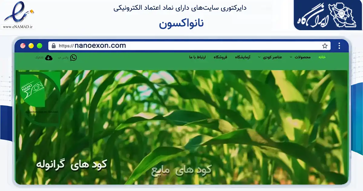 صفحه اصلی سایت نانواکسون به نشانی nanoexon.com که در زمینه تجارت، بازرگانی و تبلیغات با مرکزیت شیراز فعالیت دارد.