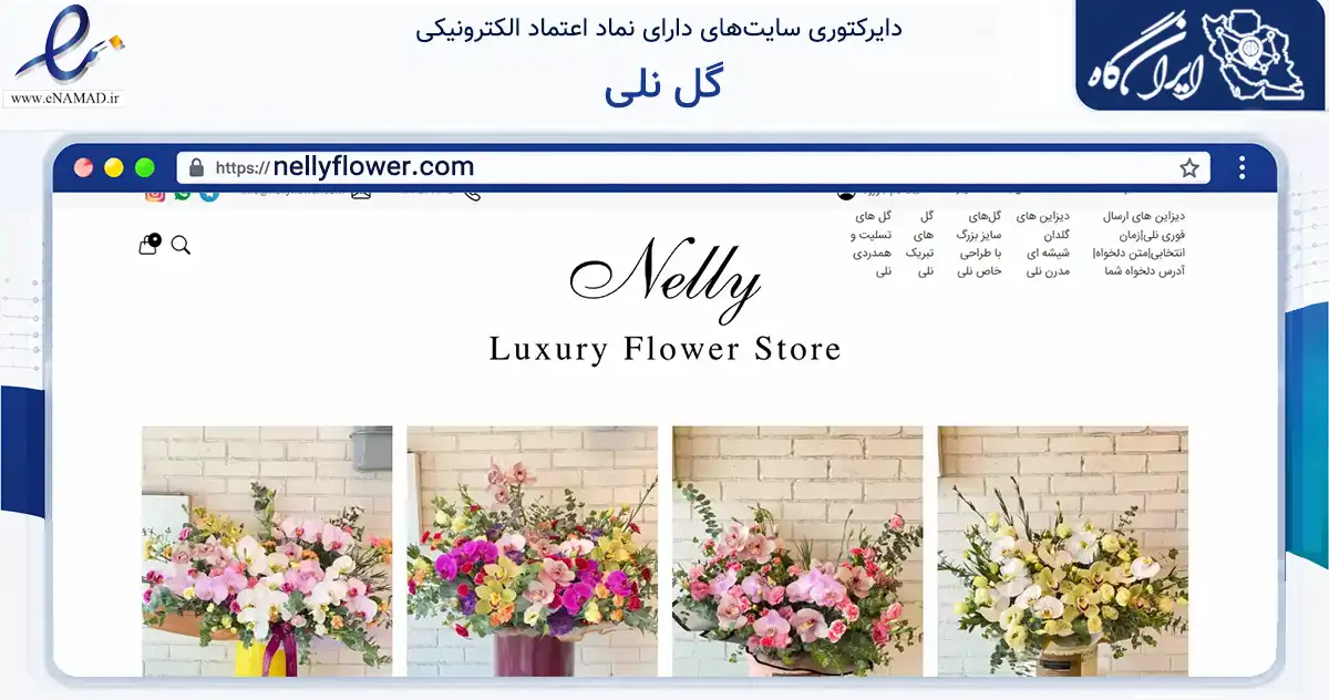 صفحه اصلی سایت گل نلی به نشانی nellyflower.com که در زمینه تجارت، بازرگانی و تبلیغات با مرکزیت تهران فعالیت دارد.