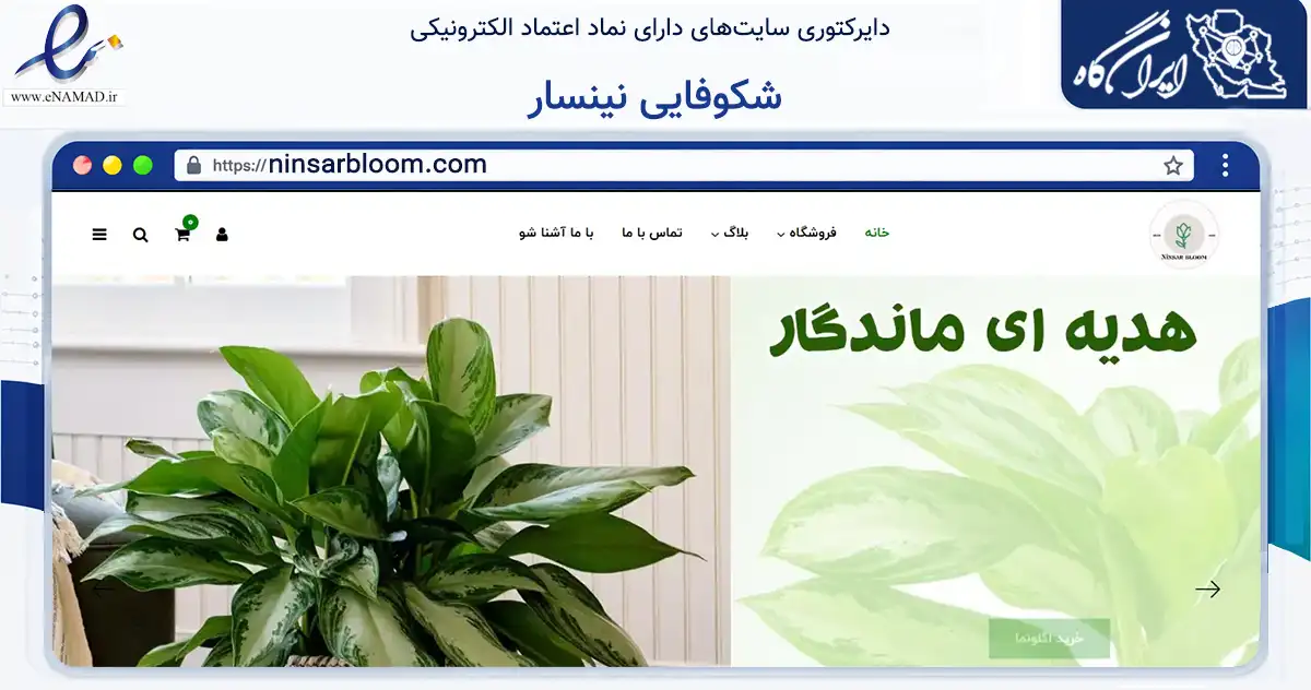 صفحه اصلی سایت شکوفایی نینسار به نشانی ninsarbloom.com که در زمینه تجارت، بازرگانی و تبلیغات با مرکزیت آمل فعالیت دارد.