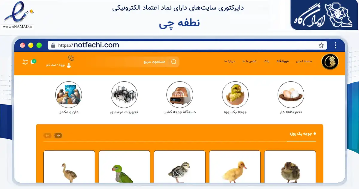 صفحه اصلی سایت نطفه چی به نشانی notfechi.com که در زمینه تجارت، بازرگانی و تبلیغات با مرکزیت ارومیه فعالیت دارد.