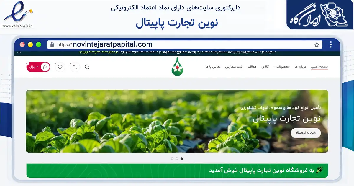 صفحه اصلی سایت نوین تجارت پاپیتال به نشانی novintejaratpapital.com که در زمینه تجارت، بازرگانی و تبلیغات با مرکزیت ساوه فعالیت دارد.