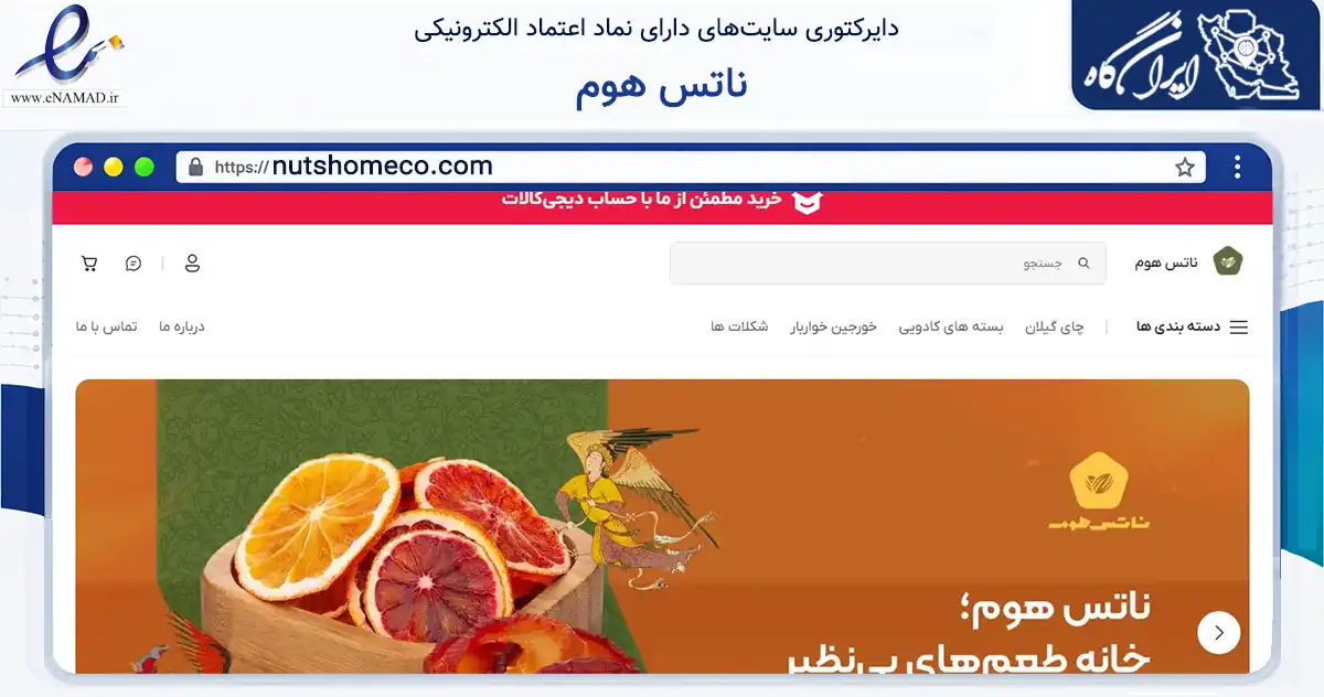 صفحه اصلی سایت ناتس هوم به نشانی nutshomeco.com که در زمینه تجارت، بازرگانی و تبلیغات با مرکزیت نوشهر فعالیت دارد.