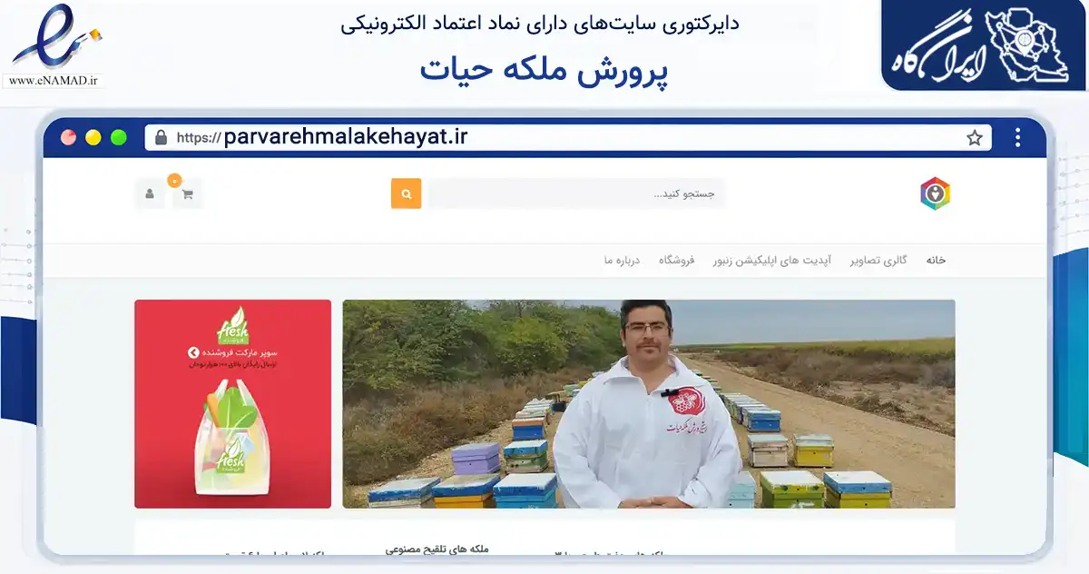 صفحه اصلی سایت پرورش ملکه حیات به نشانی parvarehmalakehayat.ir که در زمینه تجارت، بازرگانی و تبلیغات با مرکزیت اسدآباد فعالیت دارد.